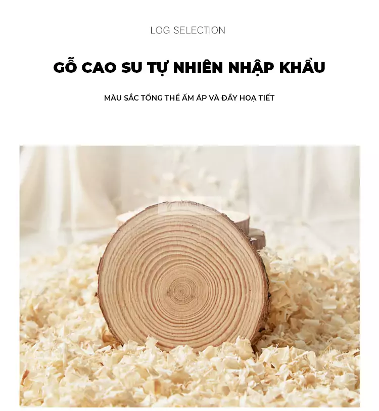 chi tiết chất liệu của Ghế gỗ tự nhiên kết hợp nệm cao cấp SD110